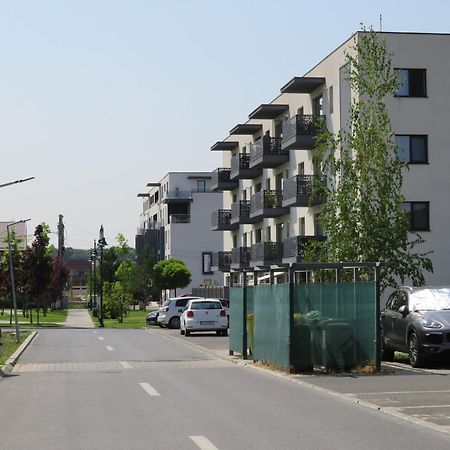 אוטופן Amazing Apartament With Garden Bucharest Airport Self Check-In!! מראה חיצוני תמונה
